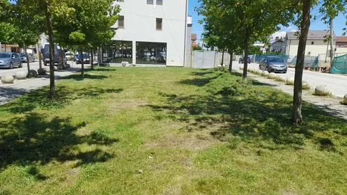 Kositja e barit dhe pastrimi i parkut në rrugën "Vëllezërit Gërvalla". 🍀