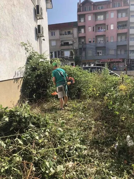 Mirëmbajtja e hapësirës së gjelbërt,kositja dhe pastrimi i barit te Qendra e Punësimit. 🍀