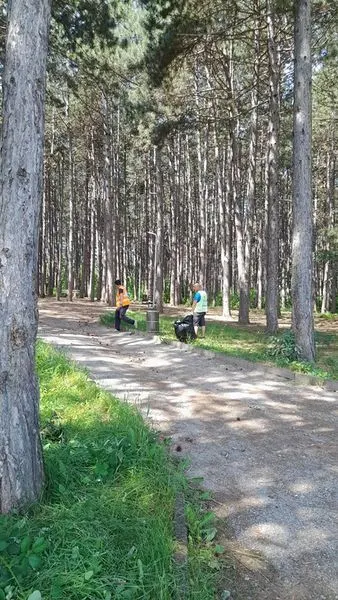 Pastrimi i parkut ,kositja e barit dhe mbledhja e mbeturinave te "Parku Liria". 🌲🍀