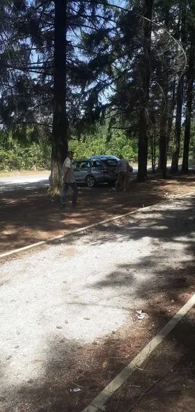 Pastrimi i mbeturinave dhe mirëmbajtja e parkut të pishave në fshatin Rahovic. 🌲🌲 E Diele  30/ Korrik 🍀