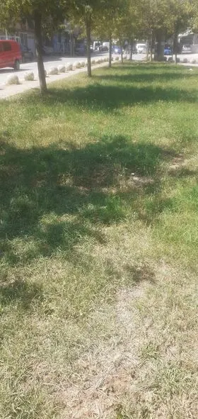 Kositja dhe pastrimi i barit , mirëmbajtja e hapësirës së gjelbërt tek parku në rrugën "Vëllezërit Gërvalla". 🍀