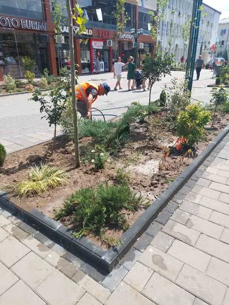 Për mirëmbajtjën dhe ujitjen e drunjëve dekorativë në sheshin "Dëshmorët e Kombit",kujdesën si gjithmonë punëtorët e hapësirave të gjelbërta  të N.P.L "Ambienti"Sh.A. 🍀 🌳 💦