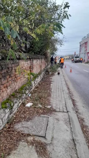 🦺Punonjësit e NPL "Ambienti" kanë marr aksion për lirimin e trotuarit nga barishtet dhe mbetjeve tjera në Rrugën "Sali Ceku".