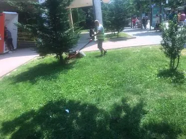 Kositja e barit dhe pastrimi i hapësirës së gjelbërt te Biblioteka "Sadik Tafarshiku". 🍀