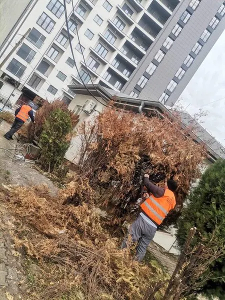 QENDRA KRYESORE E MJEKËSISË FAMILJARE