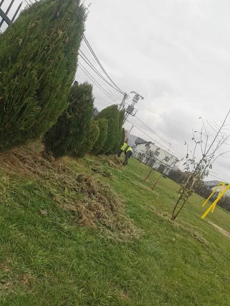 🌿 Kujdesemi për ambientin tuaj çdo ditë!