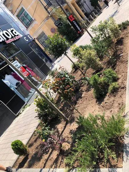 NPL "Ambienti" Ferizaj sot ka bërë mihjën e tokës nëpër miniparqet në qytet, mirëmbajtjen e drunjëve dekorativ, heqjen e barishtave të ndryshme dhe ujitjen e tyre në sheshin "Adem Jashari", dhe në sheshin "Tony Blair".