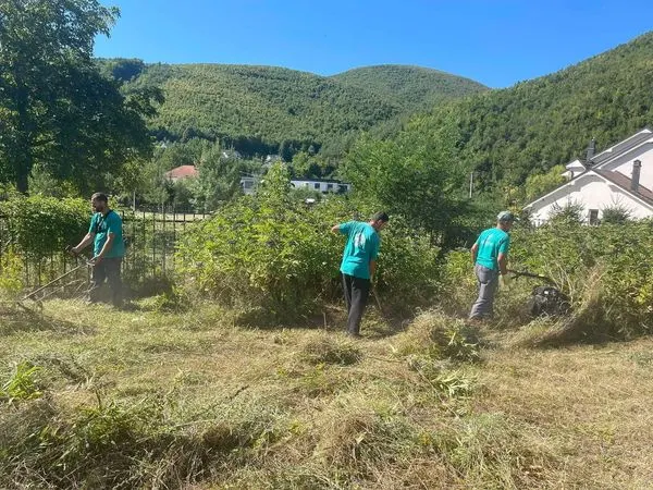 Skedari shtesë
