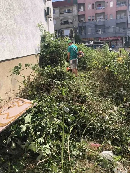 Mirëmbajtja e hapësirës së gjelbërt,kositja dhe pastrimi i barit te Qendra e Punësimit. 🍀