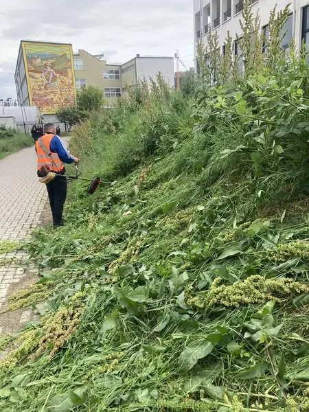 Punë të kryera nga ekipi ynë punëtor dhe i përkushtuar i NPL "Ambientit" Sh.A