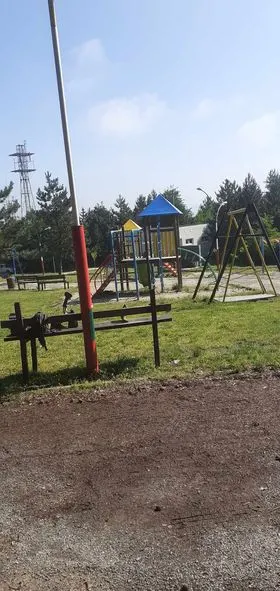Pastrimi i mbeturinave në hapësirën e gjelbërt tek parku i pishave "Liria". 🍀
