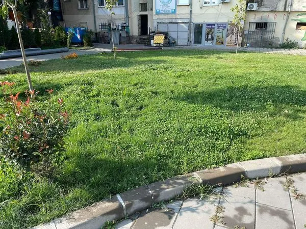 Mirëmbajtja e hapësirës së gjelbërt 🍀♻️🌱 kositja e barit, mbledhja e mbeturinave tek sheshi "Ramadan Rexhepi", gjithashtu është bërë edhe pastrimi i ujvarës⛲️ nga mbetjet e ndryshme.