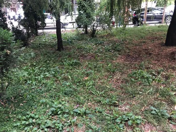 Mirëmbajtja e hapësirave gjelbëruese, mbledhja e mbeturinave, kositja dhe pastrimi i barit në parkun mbrapa banesave dhe në oborrin para banesave kolektive në rrugën "Vëllezërit Gërvalla".