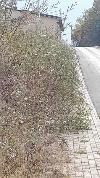 Çdo ditë në shërbim të qytetarëve.
